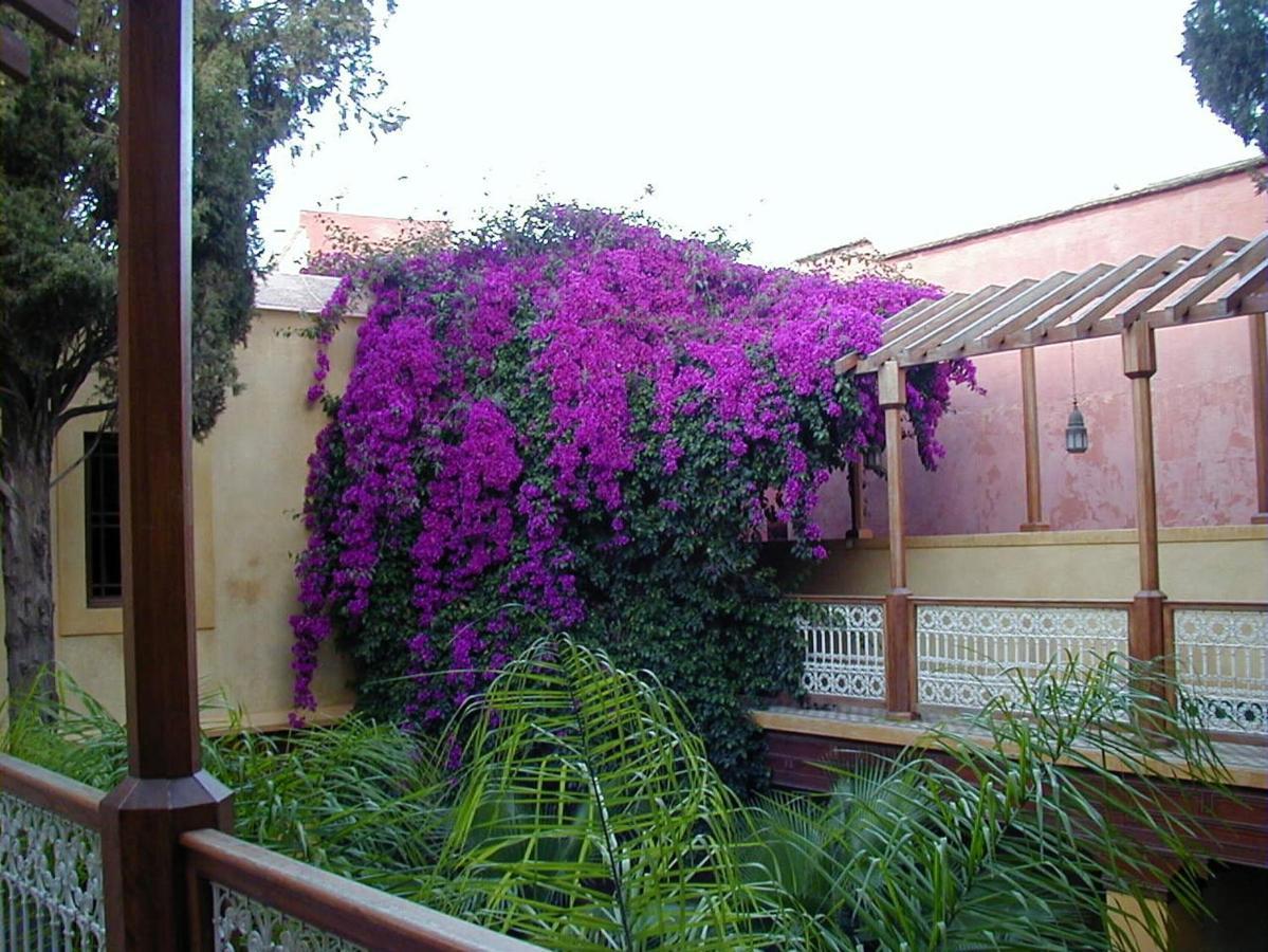 Riyad Al Moussika Marakeş Oda fotoğraf